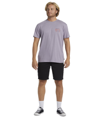 The Billabong Mens Crayon Wave T-Shirt in Purple Ash