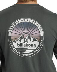 The Billabong Mens Rockies T-Shirt in Slate Green