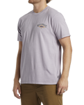 The Billabong Mens Arch Wave T-Shirt in Purple Ash