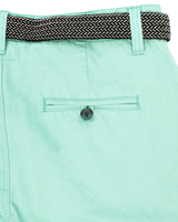 The Salt Water Seeker Mens Belted Chino Walkshorts in Mint