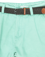 The Salt Water Seeker Mens Belted Chino Walkshorts in Mint