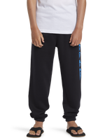 The Quiksilver Boys Boys Graphic Joggers in Black