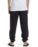 The Quiksilver Boys Boys Graphic Joggers in Black