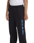 The Quiksilver Boys Boys Graphic Joggers in Black