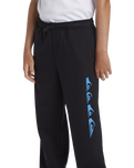 The Quiksilver Boys Boys Graphic Joggers in Black