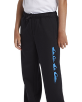 The Quiksilver Boys Boys Graphic Joggers in Black