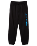 The Quiksilver Boys Boys Graphic Joggers in Black