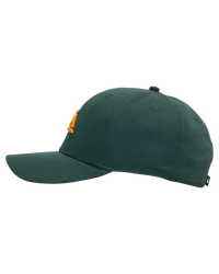 The Quiksilver Boys Boys Decades Cap in Forest