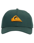 The Quiksilver Boys Boys Decades Cap in Forest