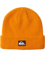 The Quiksilver Boys Boys Performer 2 Beanie in Orange