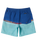 Boys Everyday Wordblock Volley Shorts in Monaco Blue