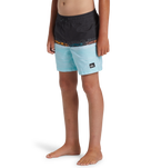 Boys Everyday Wordblock Volley Shorts in Tarmac