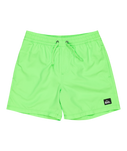 Boys Everyday Solid Volley Shorts in Green Gecko