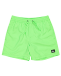 Boys Everyday Solid Volley Shorts in Green Gecko