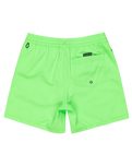 Boys Everyday Solid Volley Shorts in Green Gecko