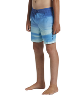 The Quiksilver Boys Boys Everyday Fade Volley Shorts in Monaco Blue