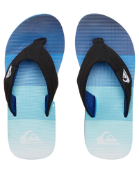 The Quiksilver Boys Boys Molokai Layback Flip Flops in Blue