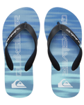 The Quiksilver Boys Boys Molokai Art II Flip Flops in Blue 2