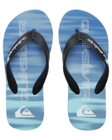 The Quiksilver Boys Boys Molokai Art II Flip Flops in Blue 2