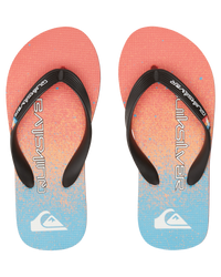 The Quiksilver Boys Boys Molokai Art II Flip Flops in Blue, Blue & Orange