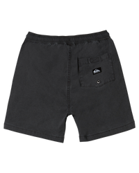 The Quiksilver Boys Boys Taxer Walkshorts in Black