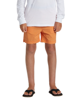 The Quiksilver Boys Boys Taxer Walkshorts in Tangerine