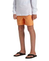 The Quiksilver Boys Boys Taxer Walkshorts in Tangerine