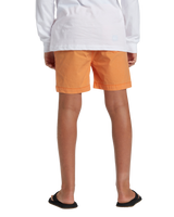 The Quiksilver Boys Boys Taxer Walkshorts in Tangerine