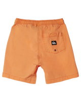 The Quiksilver Boys Boys Taxer Walkshorts in Tangerine