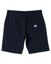 The Quiksilver Boys Boys Easy Day Jogger Shorts in Dark Navy