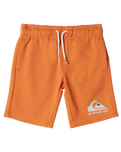 The Quiksilver Boys Boys Easy Day Jogger Shorts in Tangerine