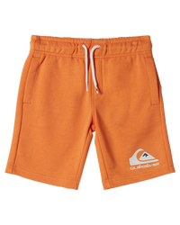 The Quiksilver Boys Boys Easy Day Jogger Shorts in Tangerine