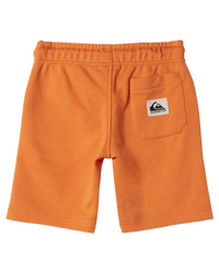 The Quiksilver Boys Boys Easy Day Jogger Shorts in Tangerine