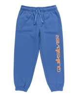 The Quiksilver Boys Boys Graphic Joggers in Nebulas Blue