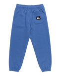 The Quiksilver Boys Boys Graphic Joggers in Nebulas Blue