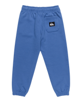 The Quiksilver Boys Boys Graphic Joggers in Nebulas Blue