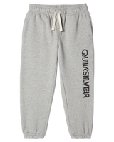 The Quiksilver Boys Boys Graphic Joggers in Light Grey Heather