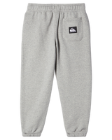 The Quiksilver Boys Boys Graphic Joggers in Light Grey Heather