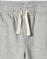 The Quiksilver Boys Boys Graphic Joggers in Light Grey Heather