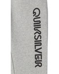 The Quiksilver Boys Boys Graphic Joggers in Light Grey Heather