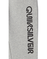 The Quiksilver Boys Boys Graphic Joggers in Light Grey Heather