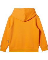 The Quiksilver Boys Boys Graphic Hoodie in Blazing Orange