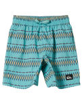 The Quiksilver Boys Boys Everyday Heritage Volley Shorts in Marine Blue