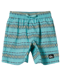 The Quiksilver Boys Boys Everyday Heritage Volley Shorts in Marine Blue