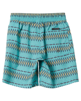 The Quiksilver Boys Boys Everyday Heritage Volley Shorts in Marine Blue