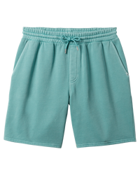 The Quiksilver Mens Salt Water Fleece Jogger Shorts in Marine Blue