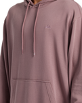 The Quiksilver Mens Salt Water Hoodie in Grape Shake