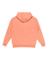 The Quiksilver Mens Salt Water Zip Hoodie in Canyon Clay