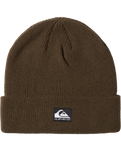 The Quiksilver Mens Performer 2 Beanie in Grape Leaf