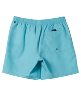 Everyday Vert Volley Shorts in Marine Blue